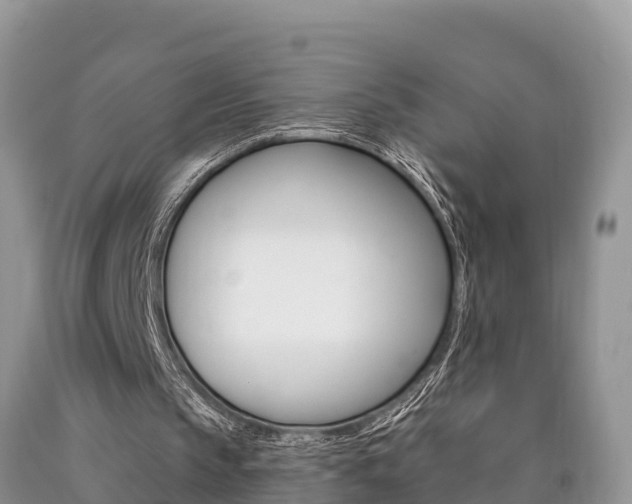 X0000090710145200707200959