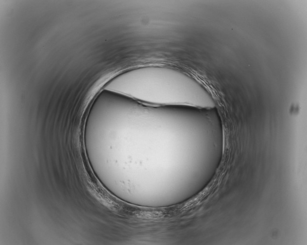 X0000090710147200707200959