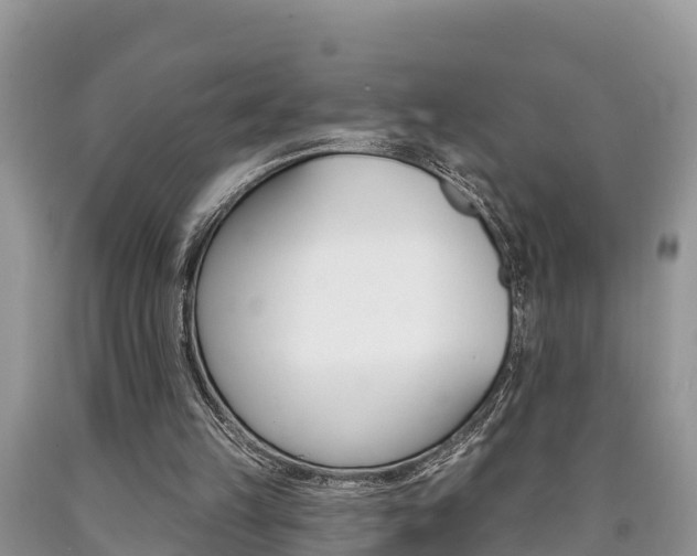 X0000090710149200707200959