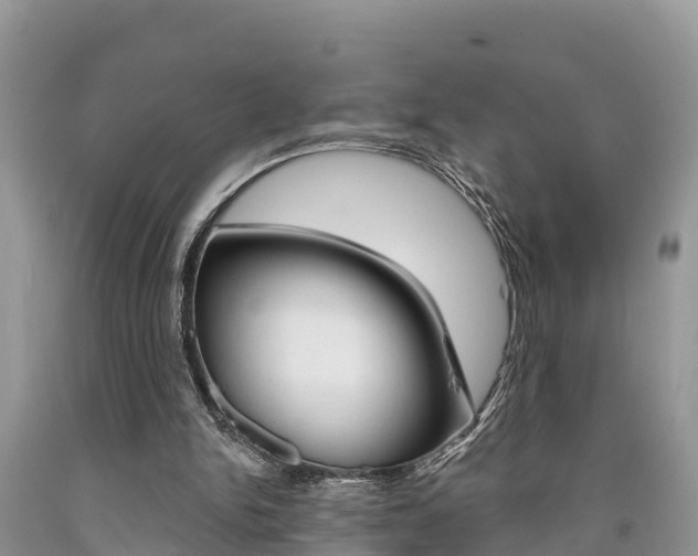 X0000090710150200707200959