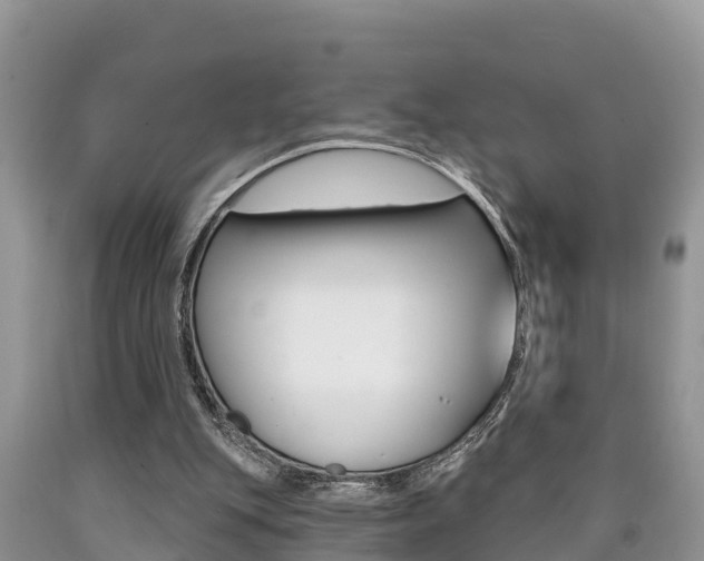 X0000090710151200707200959