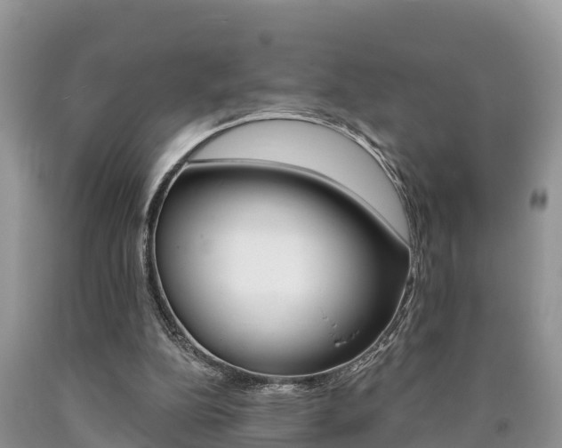 X0000090710152200707200959