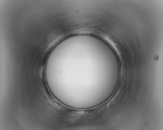 X0000090710153200707200959