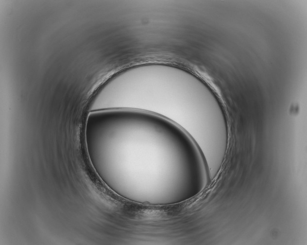 X0000090710154200707200959