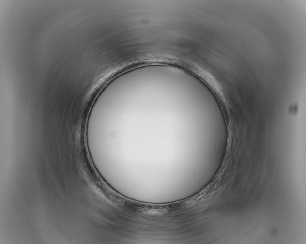 X0000090710155200707200959