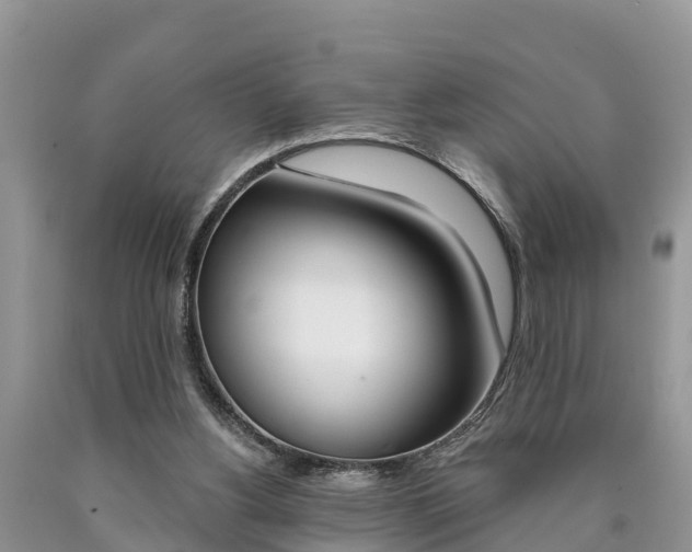 X0000090710156200707200959