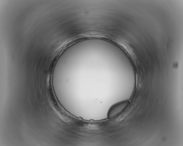 X0000090710157200707200959