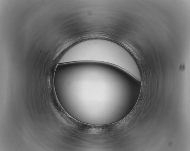 X0000090710158200707200959