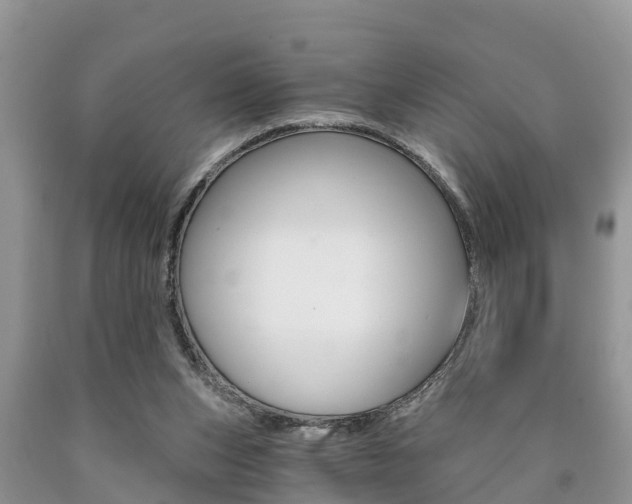 X0000090710159200707200959