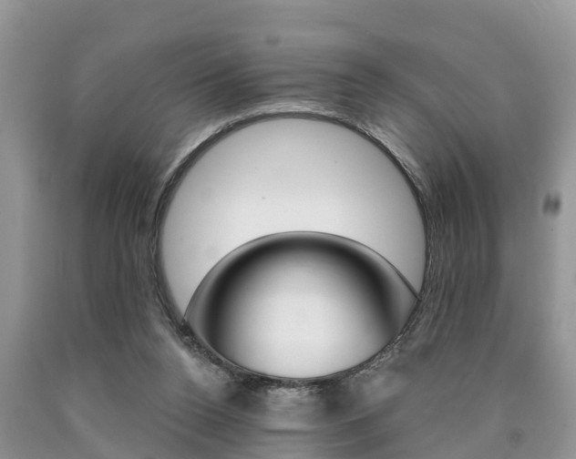 X0000090710160200707200959