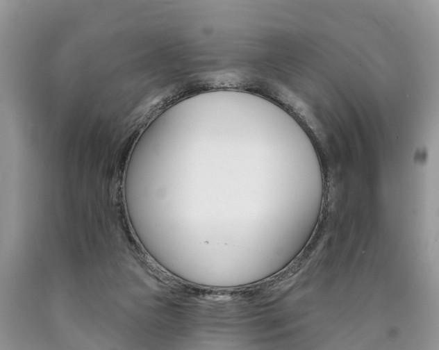 X0000090710161200707200959