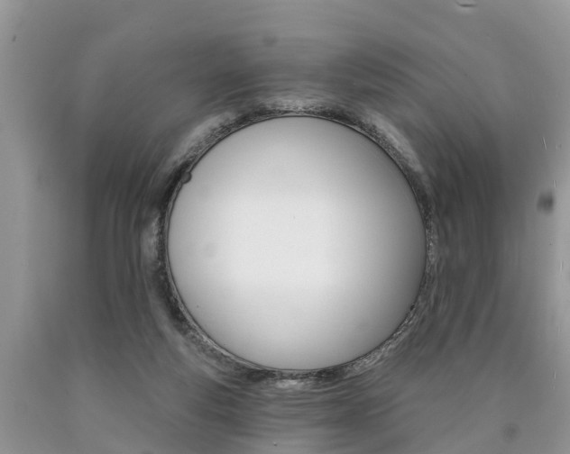 X0000090710163200707200959