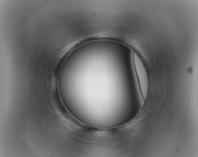 X0000090710164200707200959