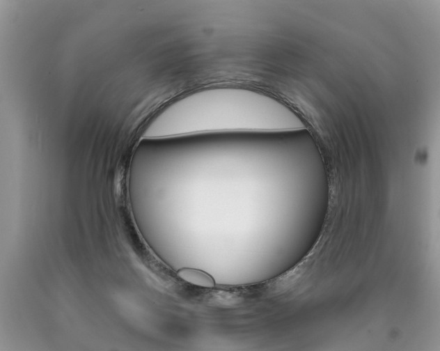 X0000090710166200707200959