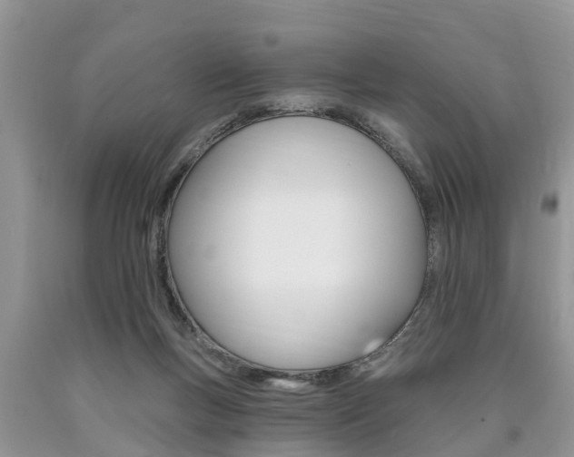 X0000090710167200707200959
