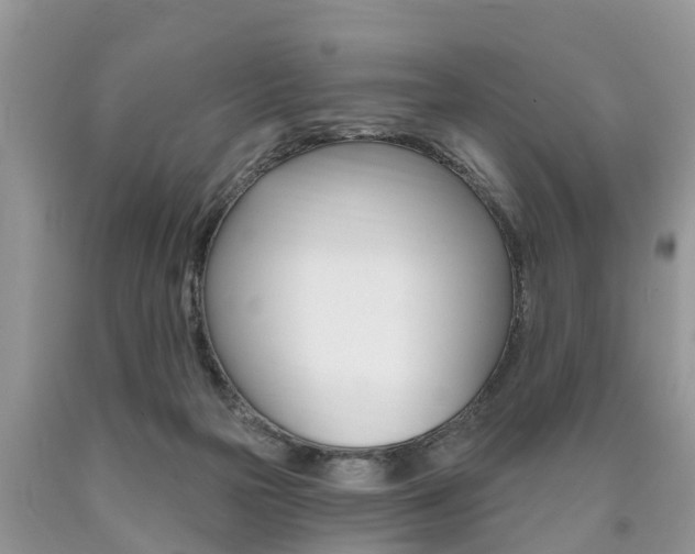 X0000090710169200707201000