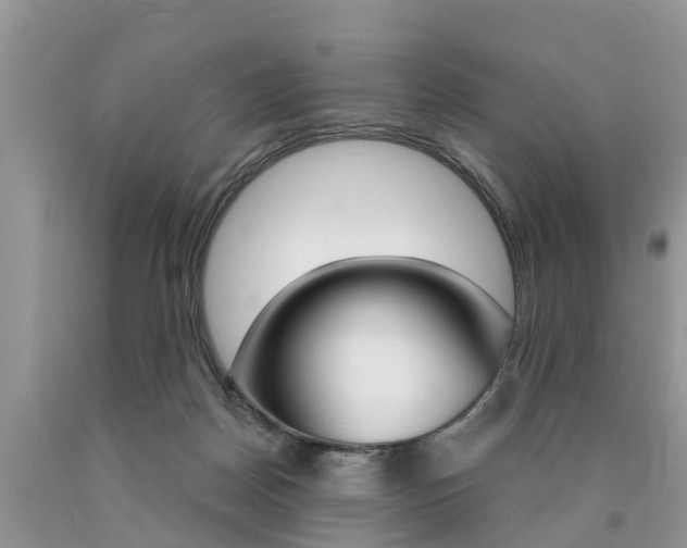 X0000090710170200707201000