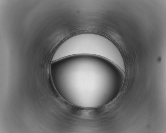 X0000090710172200707201000