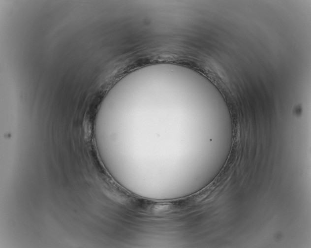 X0000090710173200707201000