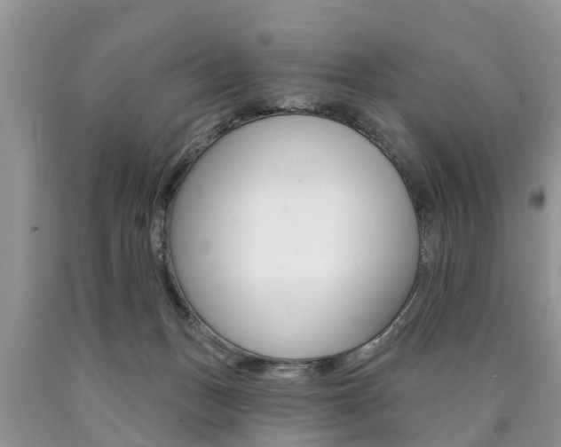 X0000090710175200707201000