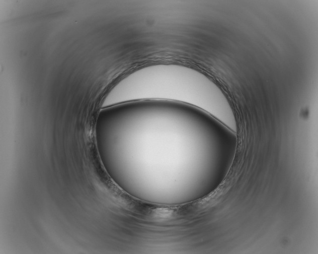 X0000090710176200707201000