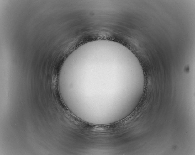 X0000090710177200707201000