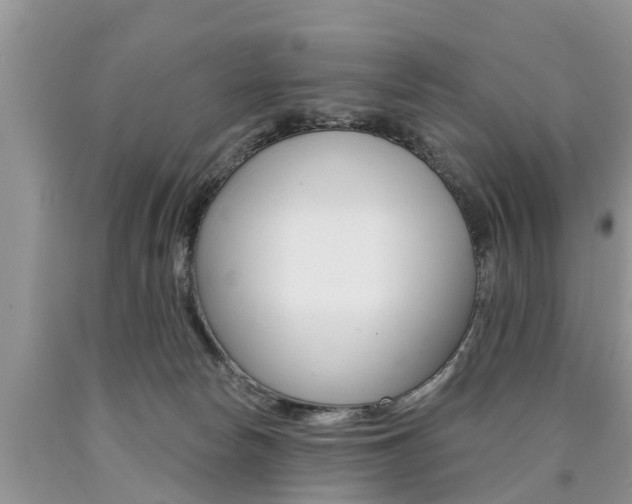 X0000090710178200707201000