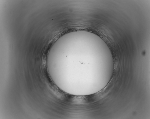 X0000090710179200707201000