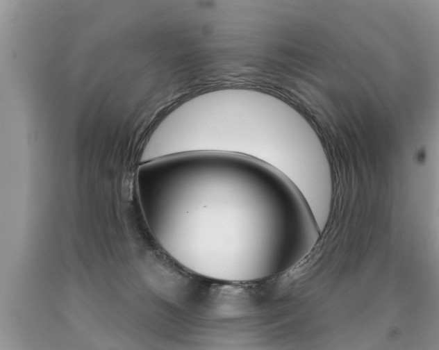 X0000090710180200707201000