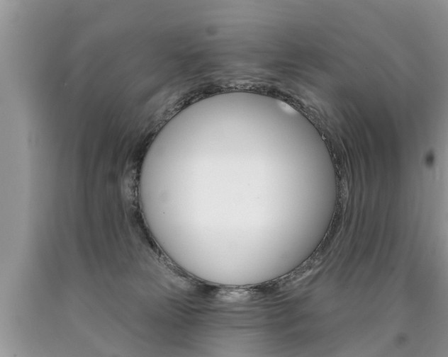 X0000090710181200707201000