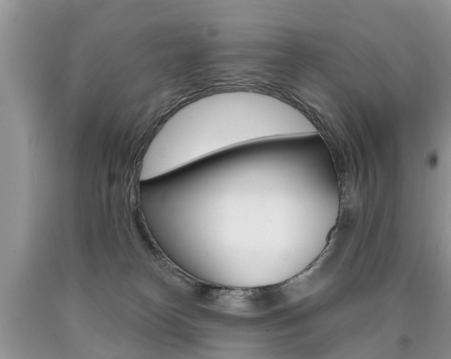 X0000090710182200707201000