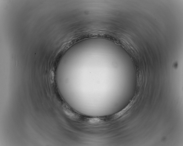 X0000090710183200707201000