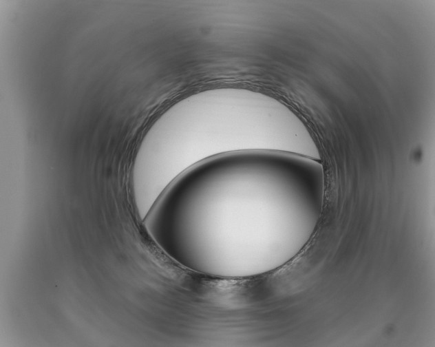 X0000090710184200707201000