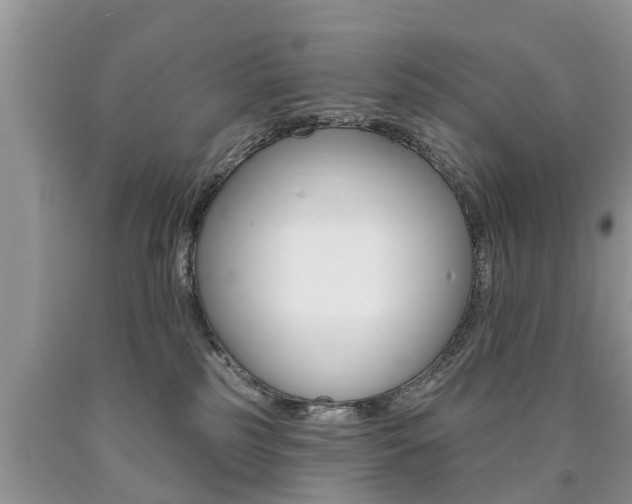 X0000090710185200707201000