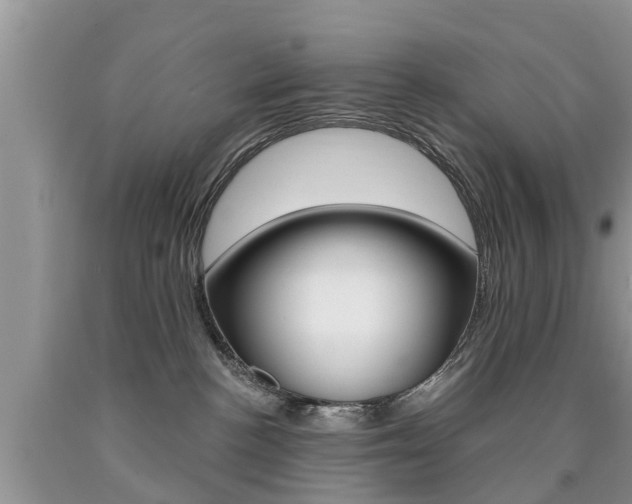 X0000090710188200707201000