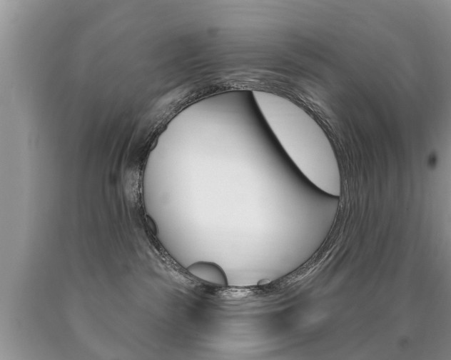 X0000090710189200707201000