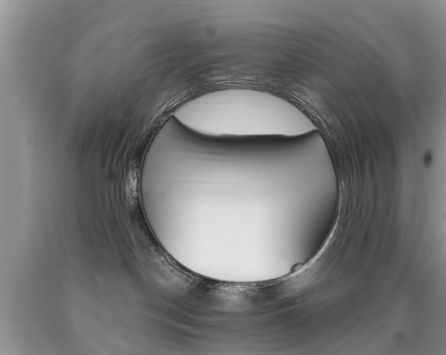 X0000090710190200707201000