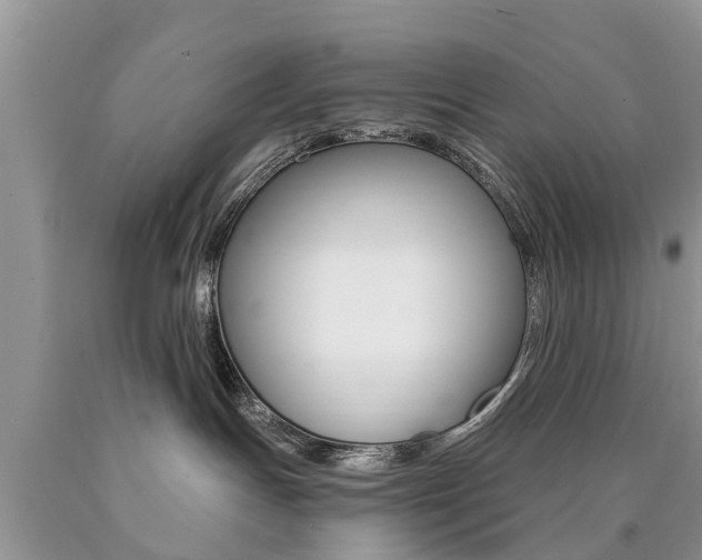 X0000090710191200707201000