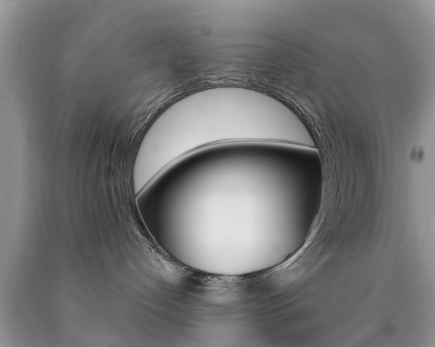 X0000090710192200707201000