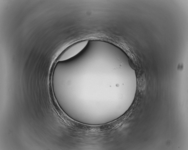 X0000090710196200707200959