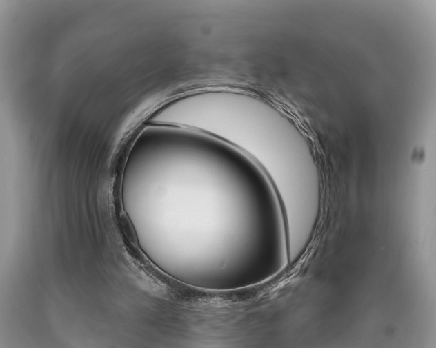 X0000090710197200707200959