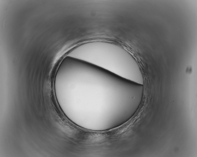 X0000090710198200707200959