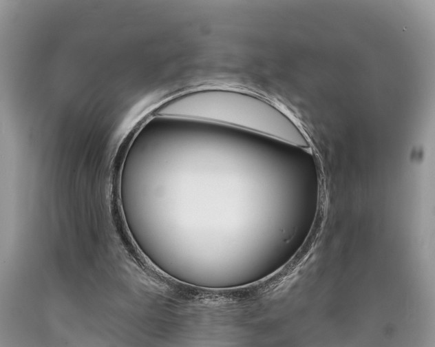 X0000090710199200707200959