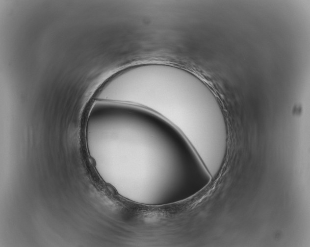 X0000090710200200707200959