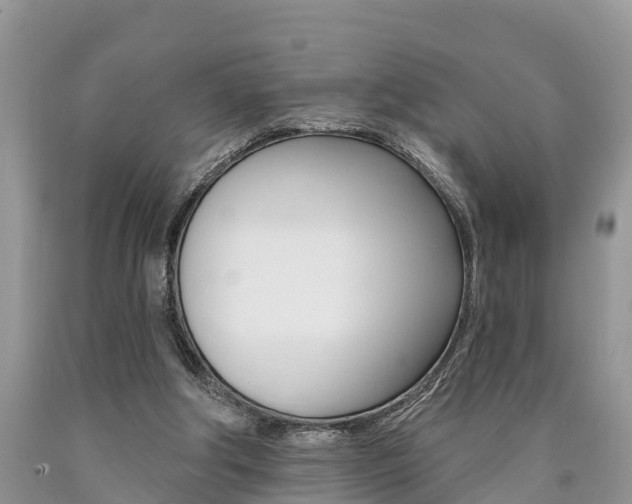 X0000090710202200707200959