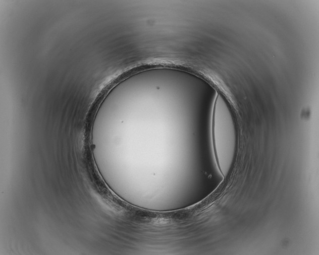 X0000090710204200707200959
