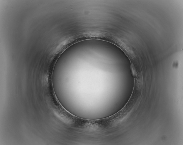 X0000090710207200707200959