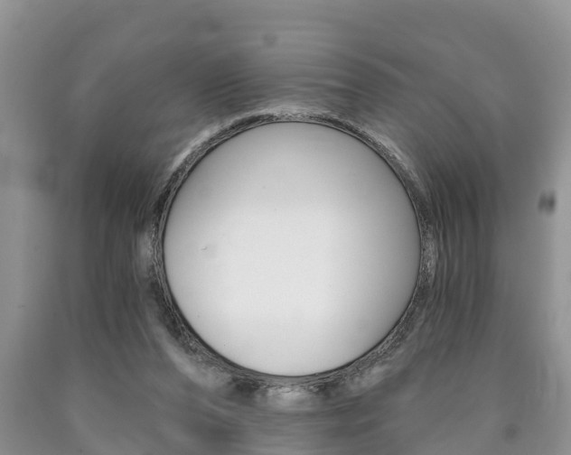 X0000090710208200707200959