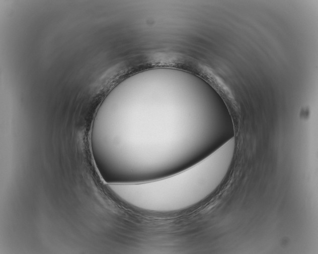 X0000090710209200707200959