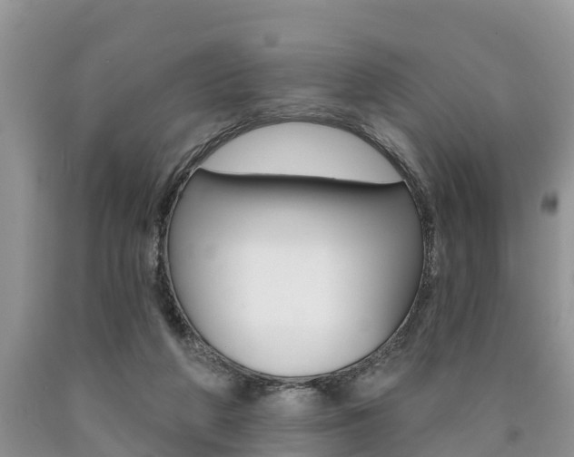 X0000090710210200707200959